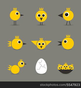 Set of yellow baby birds of hens of birds