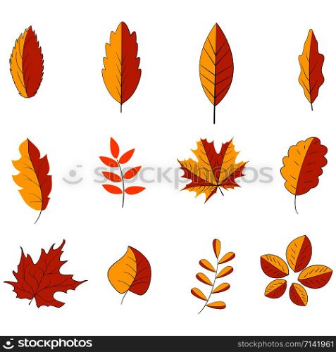 set of yellow leaves on a white background for your design. EPS 10. set of yellow leaves on a white background for your design