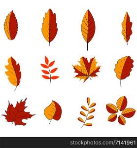 set of yellow leaves on a white background for your design. EPS 10. set of yellow leaves on a white background for your design