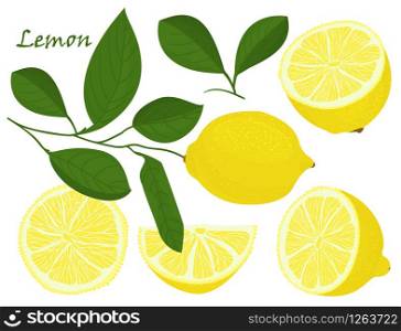 Set of yellow whole and chopped lemon Isolated on white background. Botanical drawing doodle art. Tropical Citrus Fruit pattern. Healthy food frame Vector illustration.. Set of yellow whole and chopped lemon Isolated on white background. Botanical drawing doodle art. Tropical Citrus Fruit pattern. Healthy food frame