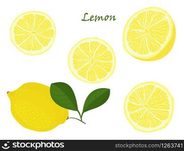 Set of yellow whole and chopped lemon Isolated on white background. Botanical drawing doodle art. Tropical Citrus Fruit pattern. Healthy food frame Vector illustration.. Set of yellow whole and chopped lemon Isolated on white background. Botanical drawing doodle art. Tropical Citrus Fruit pattern. Healthy food frame