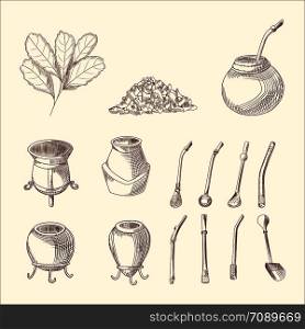 Set of yerba mate tea branch, calabash and bombilla. Mate tea leaf. Traditional South American drink. Engraving style. Hand drawn vector illustration. Set of yerba mate tea branch, calabash and bombilla. Mate tea leaf.