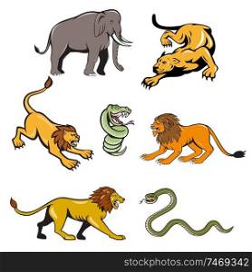 Set or collection of cartoon character mascot style illustration of African wildlife animals like the lion, elephant, snake, lioness on isolated white background.. African Safari Wildlife Cartoon Set 