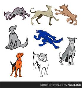 Set or collection of cartoon character mascot style illustration of canine pet dog such as great dane, jack russell terrier,wolf, husky and golden retriever dog on isolated white background.. Canine Cartoon Set