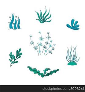 Set seaweed plant vector Illustration with air bubble. Cartoon Isolated on white. Sea life nature. Elements for icon, cover, print, book illustration, poster, card, web element, card for children.. Set seaweed plant vector Illustration with air bubble. Cartoon Isolated on white. Sea life nature.