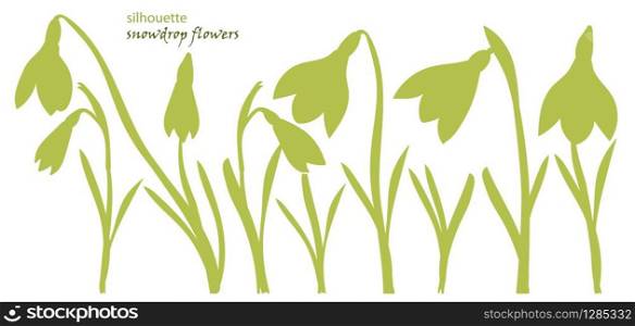 Set silhouette beautiful snowdrop flowers. Vector illustration. Isolated on white background. Set silhouette beautiful snowdrop flowers