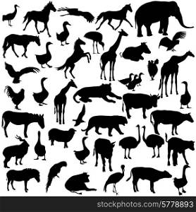 Set silhouettes animals and birds in the zoo collection. Vector illustration.