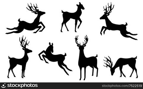 Set Silhouettes Deers Isolated. Jumping and Running Reindeers, Stags - Illustration Vector. Set Silhouettes Deers Isolated. Jumping and Running Reindeers, Stags