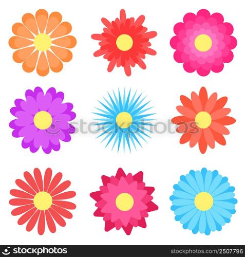 Set simple summer flowers clipart vector illustration. Abstract floral isolated elements. Botanical natural colorful decoration for designs. Set simple summer flowers clipart vector illustration