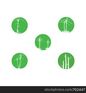 Set Sugar cane Logo Template vector symbol nature