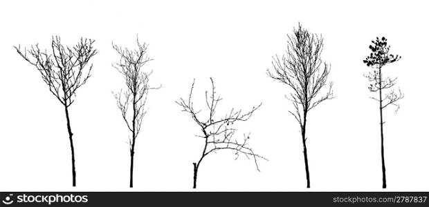 set tree silhouette on white background, vector illustration