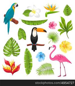 Set Tropical Flowers, Exotic Birds and Plants. Illustration Set Tropical Flowers, Exotic Birds and Plants. Collection Elements Isolated on White Background - Vector