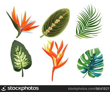 Set tropical plants exotic flowers and leaves Vector Image