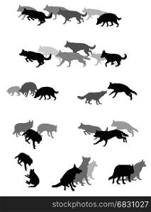 Set vector silhouettes group of dogs (German shepherd dog) black and grey colors and cut out on white background. Relationship of dogs