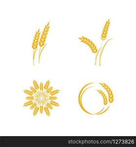 Set Wheat icon Vector Illustration design Logo template