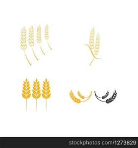Set Wheat icon Vector Illustration design Logo template