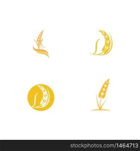Set Wheat Logo Template vector symbol nature