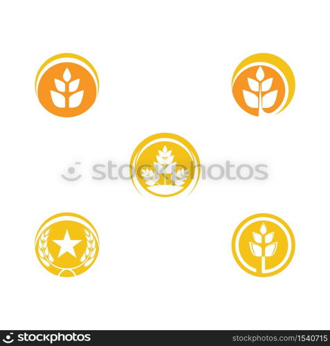 Set Wheat Logo Template vector symbol nature