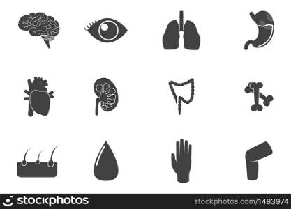 Set with icons of human organs. Health and medical concept. Vector illustration