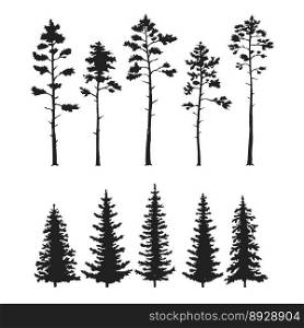 Set with pine trees isolated on white vector image