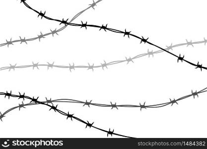 Several lines of black barbed wire silhouette on white. Several lines of black barbed wire silhouette isolated on white