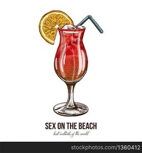 Sex on the Beach cocktail, vector illustration, hand drawn colored sketch