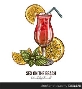 Sex on the Beach cocktail with mint and orange&rsquo;s slices, vector illustration, hand drawn colored sketch
