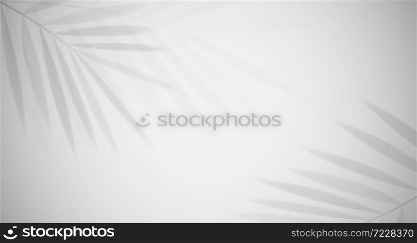 Shadow of leaf gray abstract background vector design.