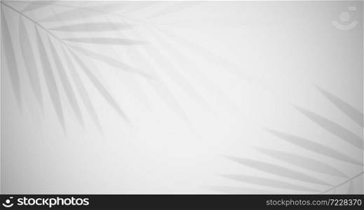 Shadow of leaf gray abstract background vector design.