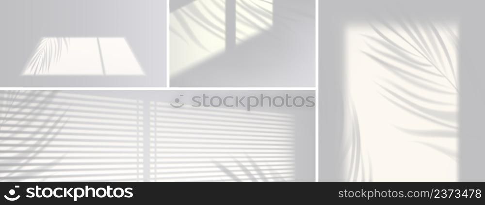 Shadow overlay effect backgrounds. Vector realistic mockup of room with sunlight from window and gray shades of blinds and plant leaves on white wall and floor. Shadow overlay effect backgrounds