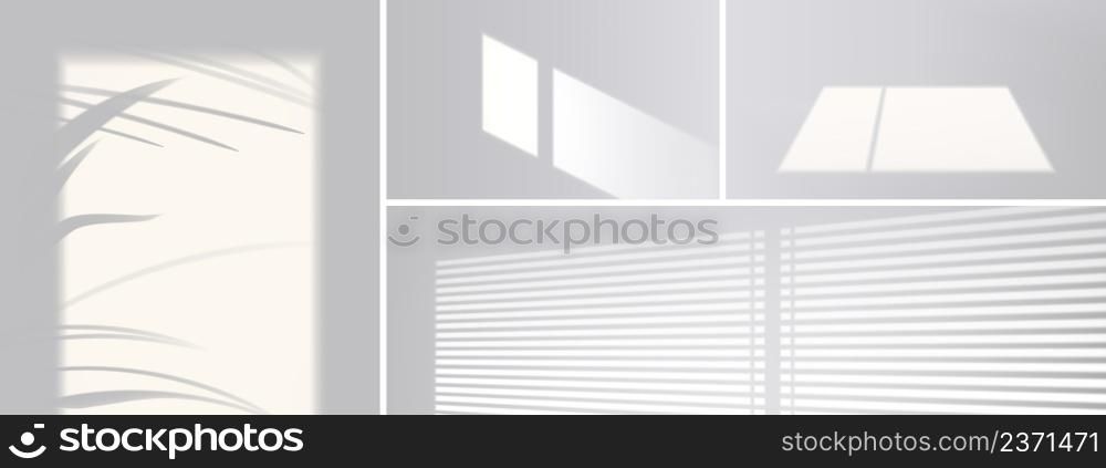 Shadow overlay effect from window, blinds and plant leaves on white wall. Vector realistic mockup of room with sunlight and gray shades of palm tree, window frame and louvers. Shadow overlay effect from window
