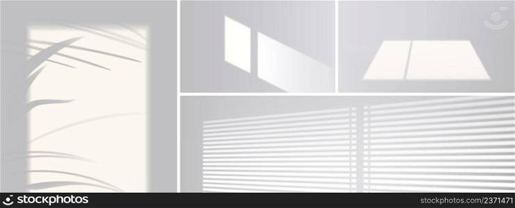 Shadow overlay effect from window, blinds and plant leaves on white wall. Vector realistic mockup of room with sunlight and gray shades of palm tree, window frame and louvers. Shadow overlay effect from window