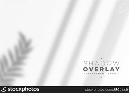 shadow overlay of leaves and window pane in transparent style