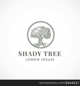 Shady Tree Abstract Sign Symbol or Logo Template