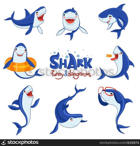 Shark cute animal. Fish attack playing hungry and happy ocean sea shark with big teeth scary blue vector characters. Illustration of shark ocean, fish predator underwater. Shark cute animal. Fish attack playing hungry and happy ocean sea shark with big teeth scary blue vector characters