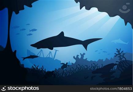 Shark Sunken Ship Wildlife Sea Animals Underwater Aquatic Illustration