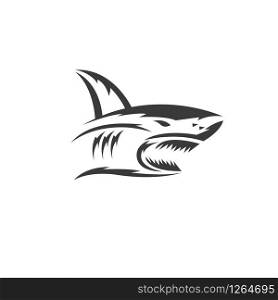 shark vector illustration design template