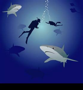 Sharks and scuba divers