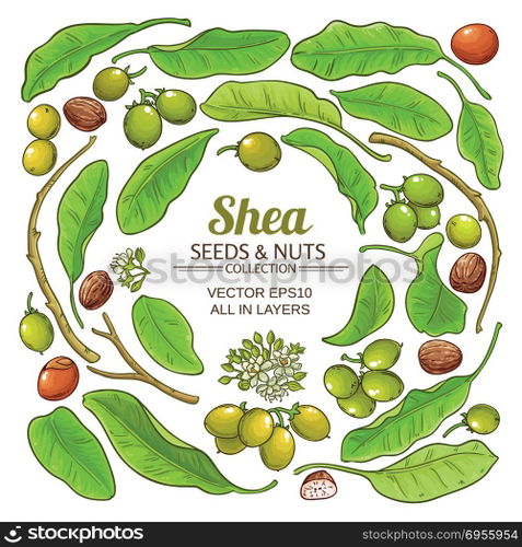shea elements vector set. shea elements vector set on white background