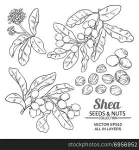 shea vector set. shea branches vector set on white background