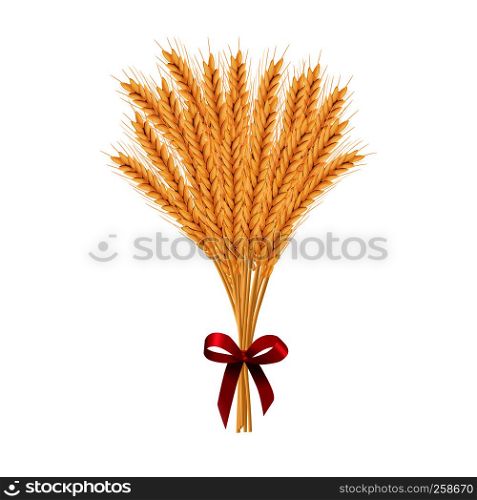 Sheaf of wheat. Reap of spiked grain heads. Christmas sheaf. Bunch of crop ears. Spikes, Julkarve, Julenek, vector illustration. for Christmas decoration, cards, bakery, food and decorative design. Sheaf of wheat. Reap of spiked grain heads. Christmas sheaf. Bunch of crop ears. Spikes, Julkarve, Julenek,