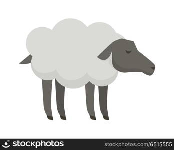 Sheep illustration. Vector in flat style design. Domestic animal. Country inhabitants concept. Picture for farming, animal husbandry, wool and meat production companies. Isolated on white background.. Sheep Flat Design Vector Illustration on White.. Sheep Flat Design Vector Illustration on White.