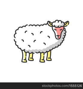 Sheep RGB color icon. Common countryside mammal, farm wildlife, domestic animal. Livestock breeding, husbandry, farming. Wooly lamb isolated vector illustration. Sheep RGB color icon