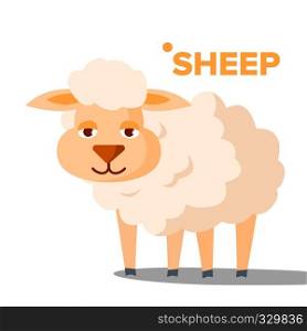 Sheep Vector. Funny Animal Isolated Cartoon Illustration. Sheep Vector. Funny Animal Isolated Flat Cartoon Illustration