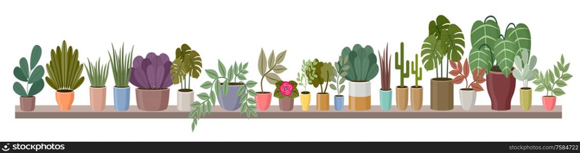 Shelf with home plants is long. Vector illustration