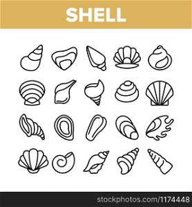 Shell And Marine Conch Collection Icons Set Vector Thin Line. Nature Ocean Shell For Shellfish, Aquatic Decorative Seashell And Cockleshell Concept Linear Pictograms. Monochrome Contour Illustrations. Shell And Marine Conch Collection Icons Set Vector