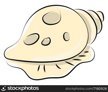 Shell drawing, illustration, vector on white background