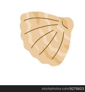 Shell in doodle style. Sea shell of aquatic animal mussel. Marine decoration. Flat cartoon illustration isolated on white. Shell in doodle style. Sea shell of animal