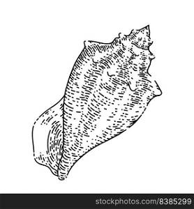 shell sea hand drawn vector. marine seashell, beach snail, ocean conch, clam, water scalop shell sea sketch. isolated black illustration. shell sea sketch hand drawn vector