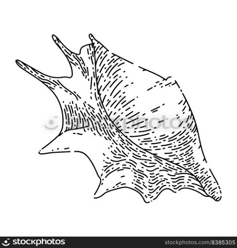 shell sea hand drawn vector. marine seashell, beach snail, ocean conch, clam animal, water shell sea sketch. isolated black illustration. shell sea sketch hand drawn vector